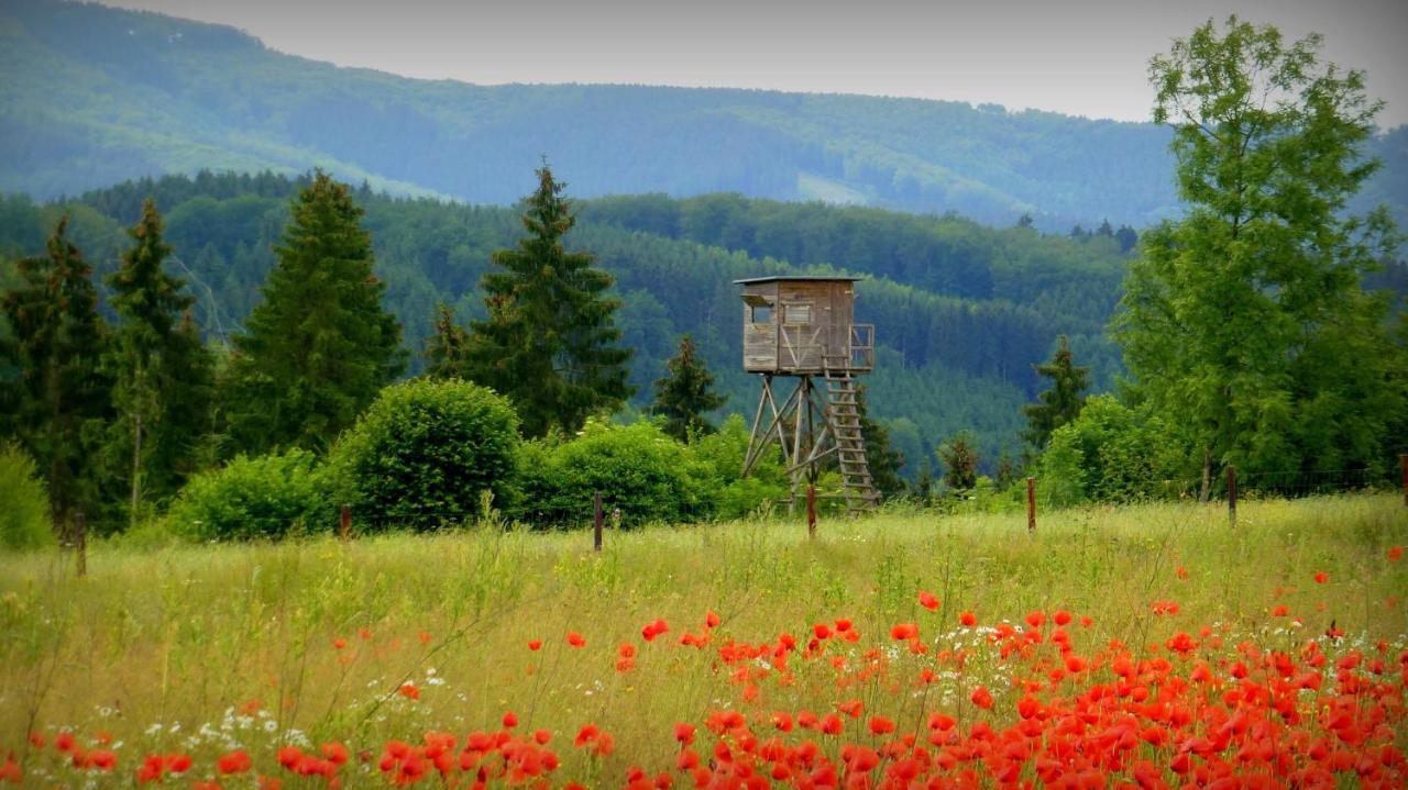 Ferienwohnung Warstein Bagian luar foto